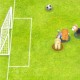 Pet soccer